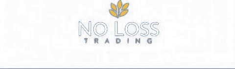 No Loss Trading LLC
